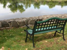 Nuova vita alla panchina 869 0 NUOVA VITA ALLA PANCHINA